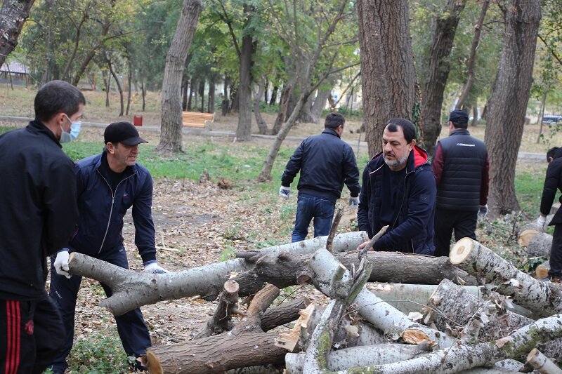 В ПАМЯТЬ О ЛЕГЕНДАРНОМ ТРЕНЕРЕ АБДУЛМАНАПЕ НУРМАГОМЕДОВЕ В ПАРКЕ ИМ. ЛЕНИНСКОГО КОМСОМОЛА ПРОВЕДУТ ПОСАДКУ ЗЕЛЕНЫХ НАСАЖДЕНИЙ