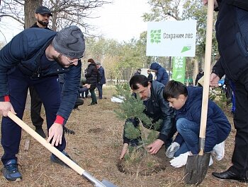 БОЛЕЕ 80 ХВОЙНЫХ ДЕРЕВЬЕВ В ПАМЯТЬ О ВЫДАЮЩЕМСЯ ТРЕНЕРЕ АБДУЛМАНАПЕ НУРМАГОМЕДОВЕ ВЫСАДИЛИ В ПАРКЕ ЛЕНИНСКОГО КОМСОМОЛА 