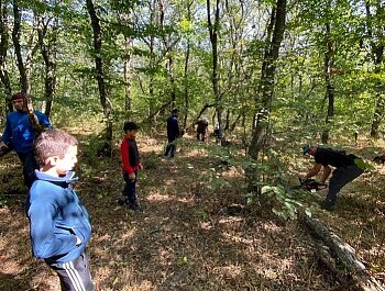 В ЛЕСНОМ МАССИВЕ ГОРЫ ТАРКИ –ТАУ ПРОВЕЛИ СПИЛ СУХИХ И ОПАВШИХ ДЕРЕВЬЕВ
