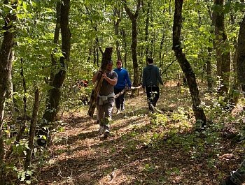 В ЛЕСНОМ МАССИВЕ ГОРЫ ТАРКИ –ТАУ ПРОВЕЛИ СПИЛ СУХИХ И ОПАВШИХ ДЕРЕВЬЕВ