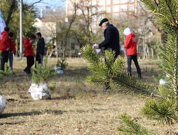 БОЛЕЕ 80 ХВОЙНЫХ ДЕРЕВЬЕВ В ПАМЯТЬ О ВЫДАЮЩЕМСЯ ТРЕНЕРЕ АБДУЛМАНАПЕ НУРМАГОМЕДОВЕ ВЫСАДИЛИ В ПАРКЕ ЛЕНИНСКОГО КОМСОМОЛА 