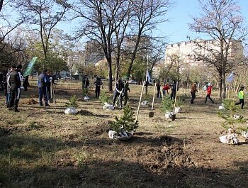 БОЛЕЕ 80 ХВОЙНЫХ ДЕРЕВЬЕВ В ПАМЯТЬ О ВЫДАЮЩЕМСЯ ТРЕНЕРЕ АБДУЛМАНАПЕ НУРМАГОМЕДОВЕ ВЫСАДИЛИ В ПАРКЕ ЛЕНИНСКОГО КОМСОМОЛА 