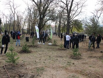 БОЛЕЕ 80 ХВОЙНЫХ ДЕРЕВЬЕВ В ПАМЯТЬ О ВЫДАЮЩЕМСЯ ТРЕНЕРЕ АБДУЛМАНАПЕ НУРМАГОМЕДОВЕ ВЫСАДИЛИ В ПАРКЕ ЛЕНИНСКОГО КОМСОМОЛА 