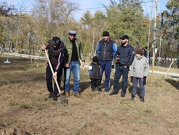 БОЛЕЕ 80 ХВОЙНЫХ ДЕРЕВЬЕВ В ПАМЯТЬ О ВЫДАЮЩЕМСЯ ТРЕНЕРЕ АБДУЛМАНАПЕ НУРМАГОМЕДОВЕ ВЫСАДИЛИ В ПАРКЕ ЛЕНИНСКОГО КОМСОМОЛА 