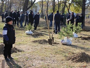 БОЛЕЕ 80 ХВОЙНЫХ ДЕРЕВЬЕВ В ПАМЯТЬ О ВЫДАЮЩЕМСЯ ТРЕНЕРЕ АБДУЛМАНАПЕ НУРМАГОМЕДОВЕ ВЫСАДИЛИ В ПАРКЕ ЛЕНИНСКОГО КОМСОМОЛА 