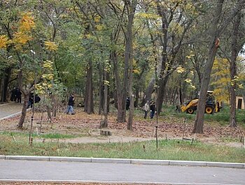 В ПАМЯТЬ О ЛЕГЕНДАРНОМ ТРЕНЕРЕ АБДУЛМАНАПЕ НУРМАГОМЕДОВЕ В ПАРКЕ ИМ. ЛЕНИНСКОГО КОМСОМОЛА ПРОВЕДУТ ПОСАДКУ ЗЕЛЕНЫХ НАСАЖДЕНИЙ