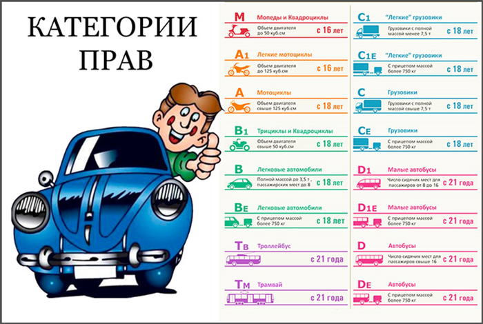 Категории возможного. Категории прав от военкомата. Выучиться на права категории прав. Категории водительских прав от военкомата. Водительское удостоверение категории в в армии.